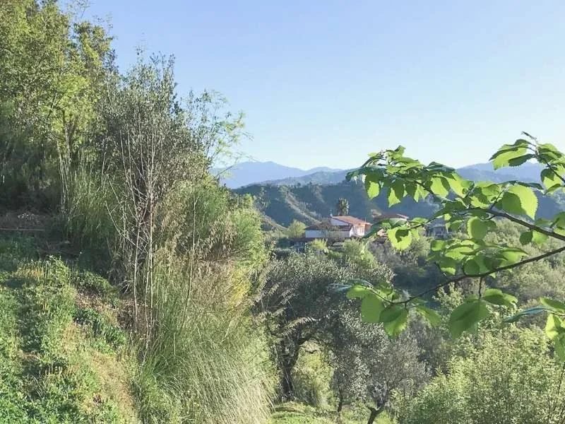 Panorama delle colline del Cilento viste dal B&B